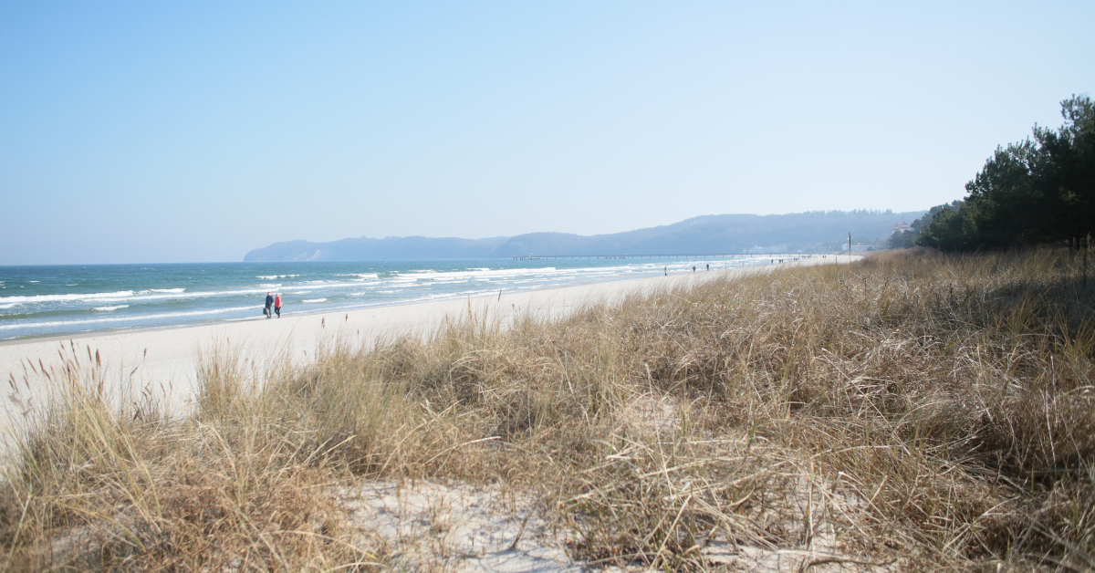 Yoga für Anfänger in Binz: Dein Einstieg in Bewegung & Achtsamkeit