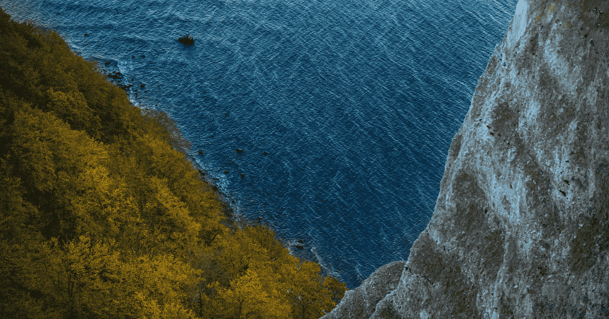 Sanddorn in Binz: Das vitaminreiche Superfood von der Ostsee