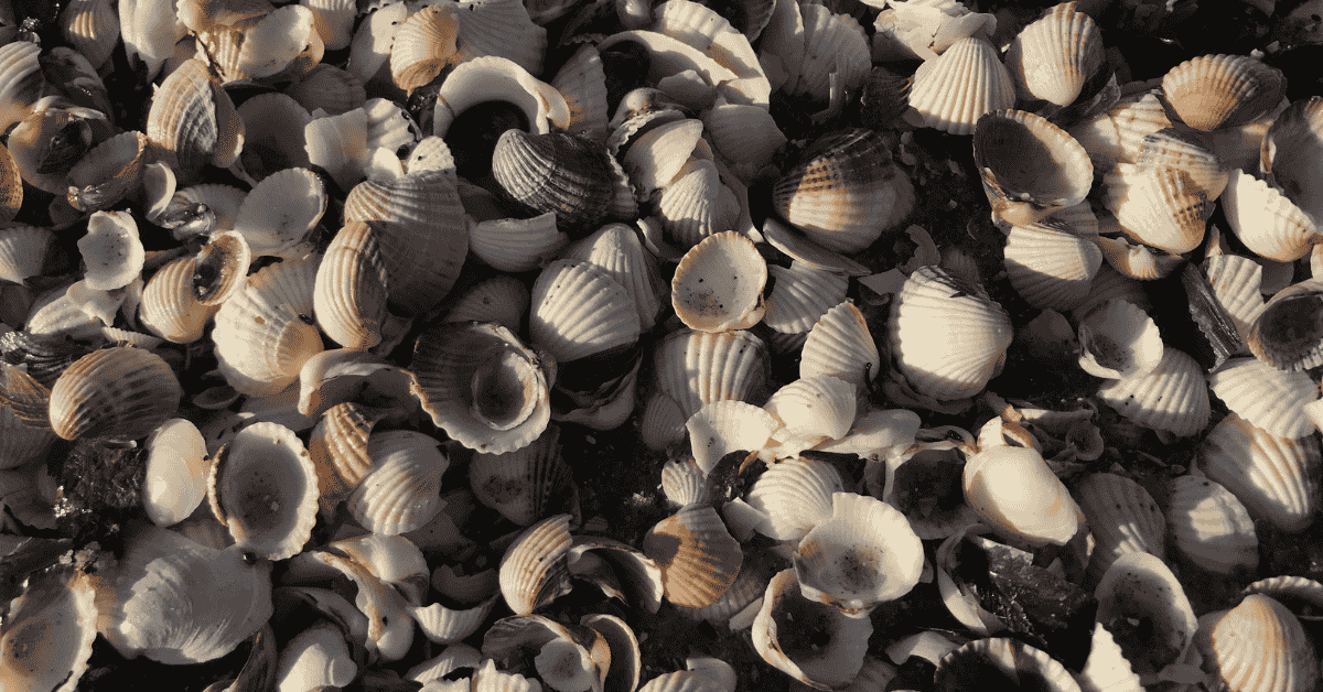 Meditation in Binz: Achtsamkeit & Entspannung an der Ostsee