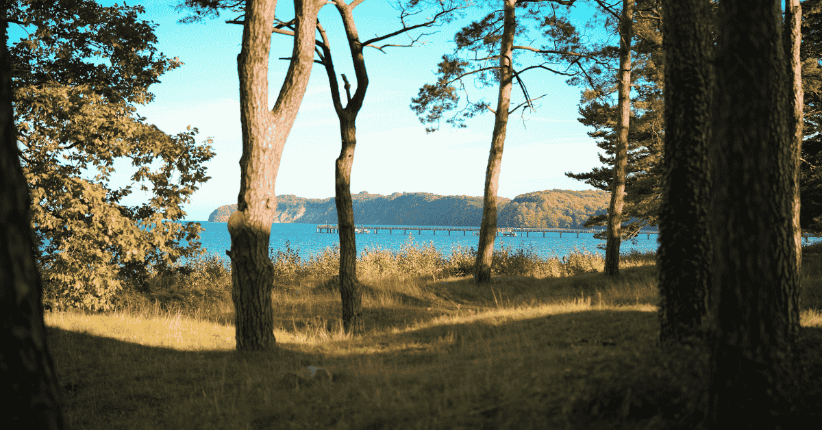 Wandern in Binz: Natur erleben zwischen Meer, Wald & See