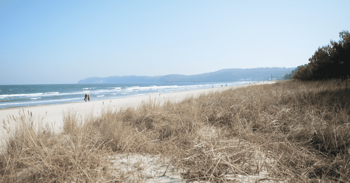 Yoga für Anfänger in Binz: Dein Einstieg in Bewegung & Achtsamkeit