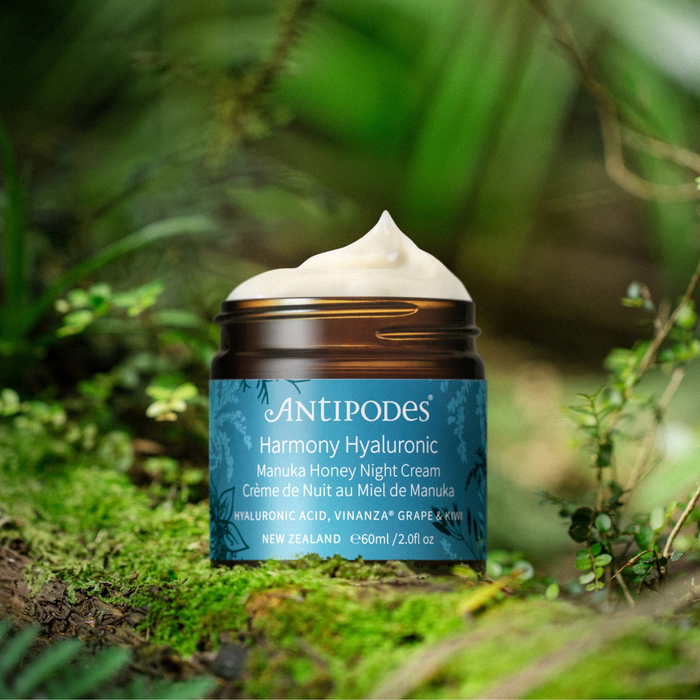 Harmony Hyaluronic Manuka Honey Night Cream