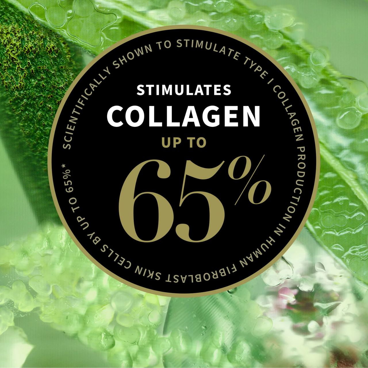 Lime Caviar Collagen-Rich Firming Cream  - Gesichtscreme, 60 ml