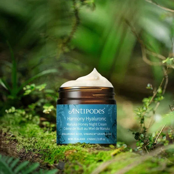 Antipodes Harmony Hyaluronic Manuka Honey Night Cream - The Binz Collection