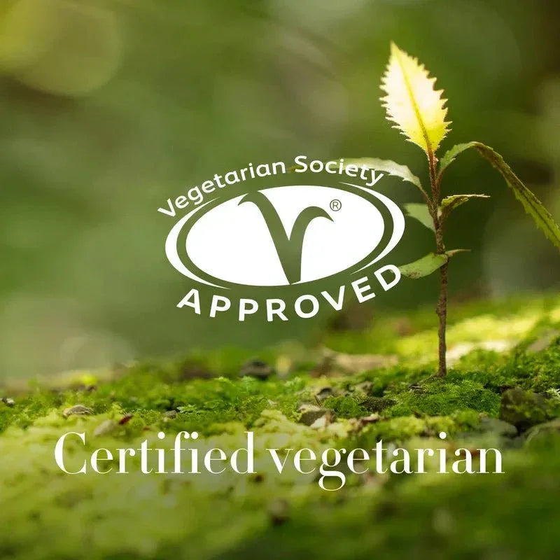 Antipodes Harmony Hyaluronic Manuka Honey Night Cream - The Binz Collection