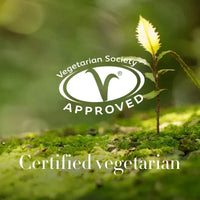 Antipodes Harmony Hyaluronic Manuka Honey Night Cream - The Binz Collection